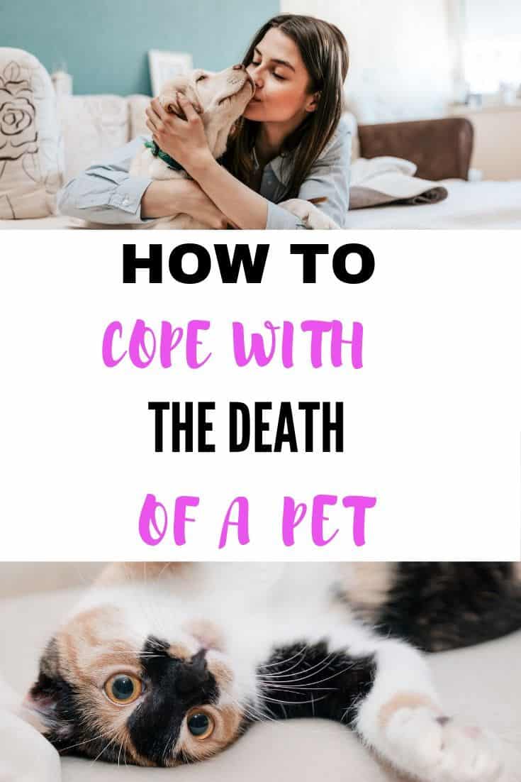 How to cope with the death of a pet