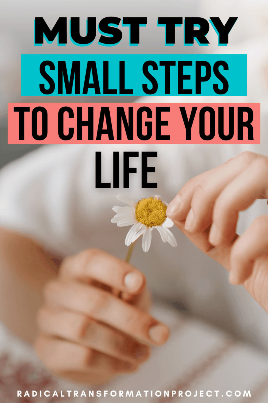 Small Steps to Transform Your Life