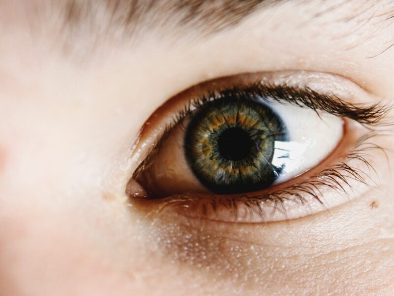 right human eye