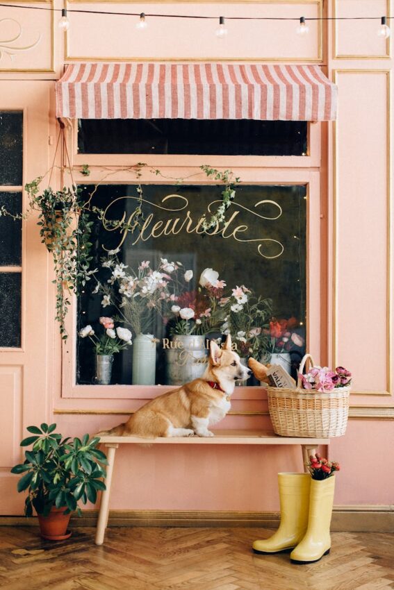 Adorable corgi seated on bench outside a quaint flower shop with vibrant bouquets and charming decor.